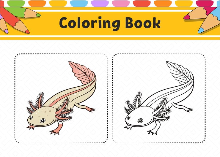 Vector ilustración del libro de colorear axolotl