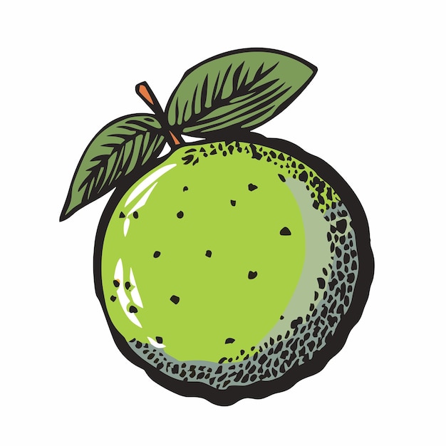 Vector ilustración de un limón en color verde