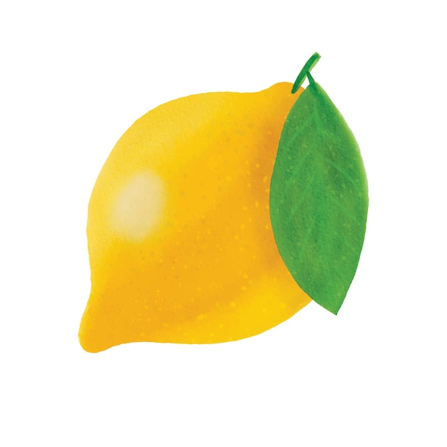 Ilustración de limón dibujada a mano creada digitalmente