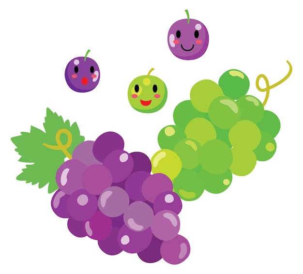 Vector ilustración del lindo racimo de uvas