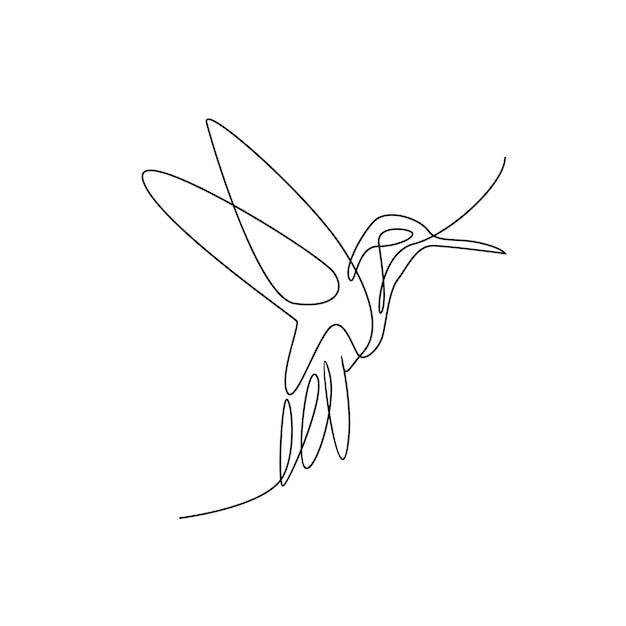 Vector ilustración de la línea del colibrí