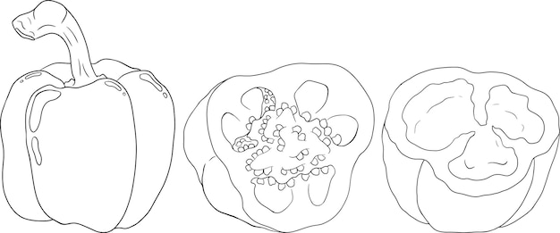Ilustración de línea dibujada a mano de diferentes tipos de pimiento pimiento pimentón Verduras p