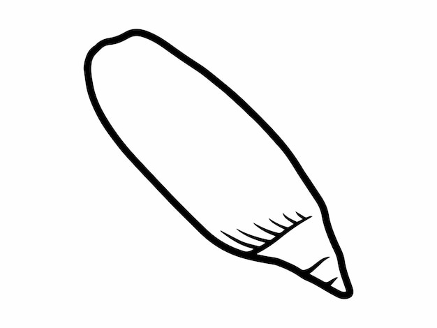 Ilustración de la línea de dibujo de conchas marinas
