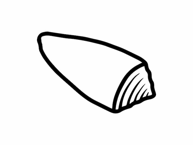 Ilustración de la línea de dibujo de conchas marinas