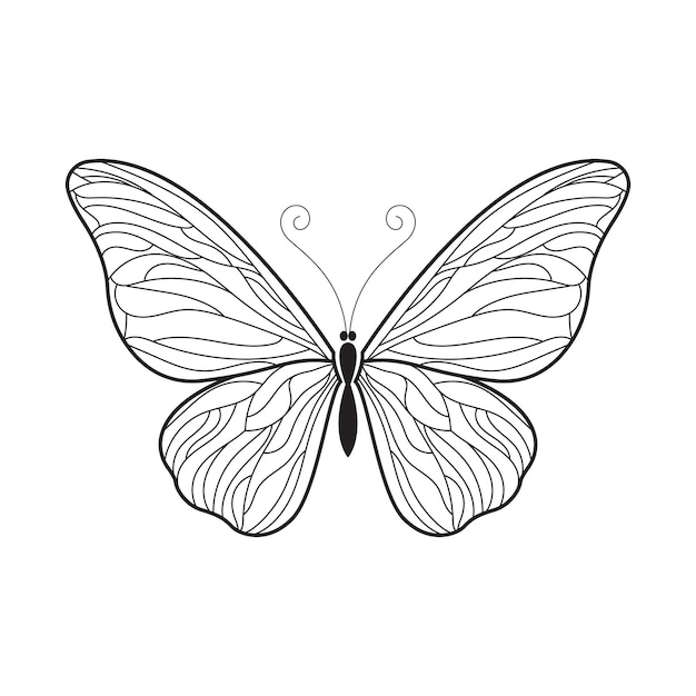 Ilustración de la línea de la mariposa