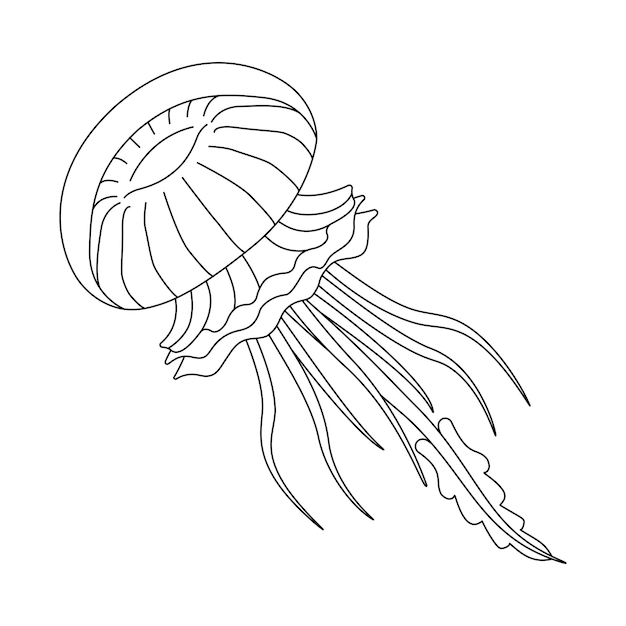 Ilustración de línea de medusa en blanco y negro página de colorear de terapia de arte
