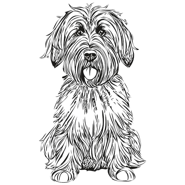 Ilustración de la línea de perro de Briard boceto facial en tinta negra y blanca en dibujo de boceto vectorial