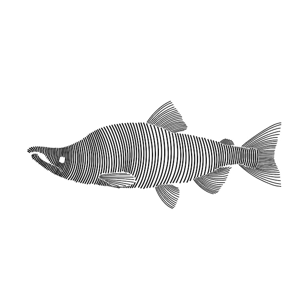 Ilustración de línea simple de salmón 1