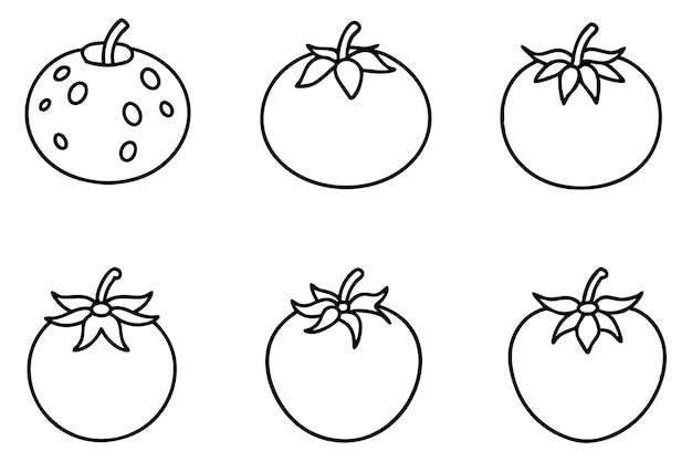 Ilustración de la línea de tomate dibujo de boceto simple