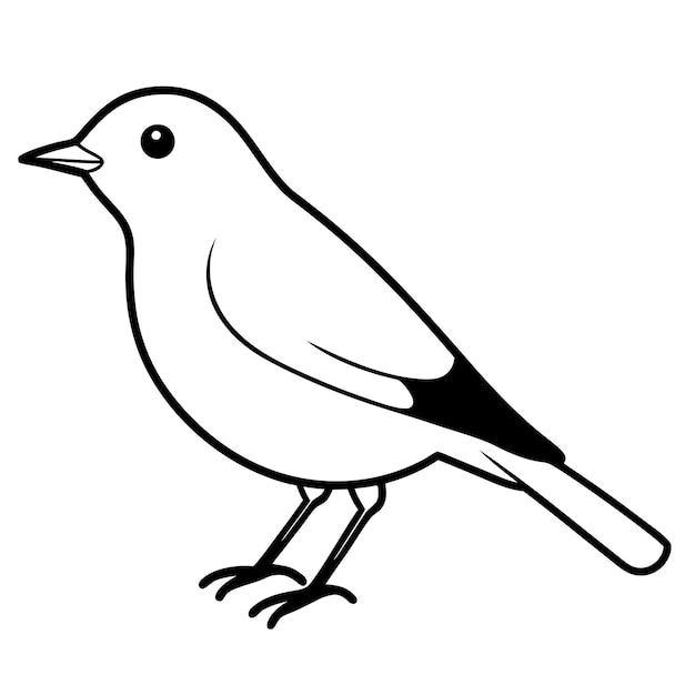 Ilustración de la línea vectorial de American Robin Bird