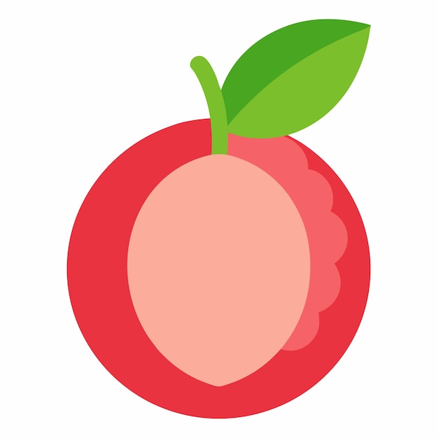 Ilustración de la línea vectorial de Lychee Litchi