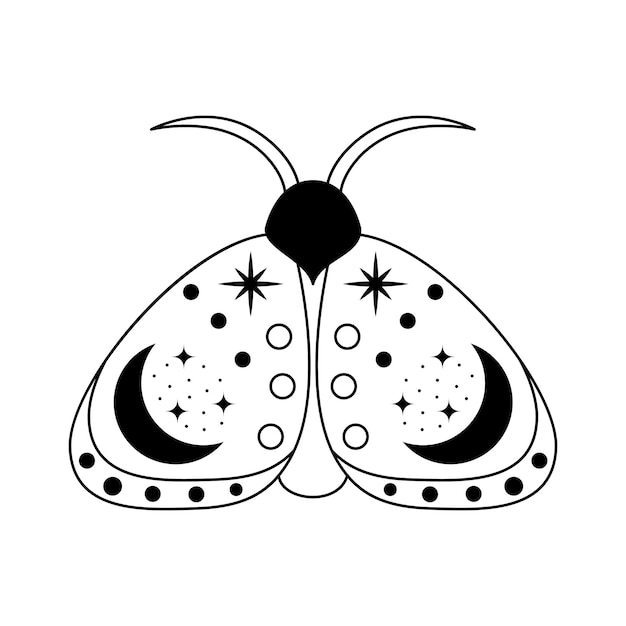 Ilustración lineal en blanco y negro de polilla celestial vectorial aislada en fondo blanco
