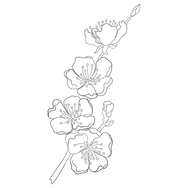 Ilustración lineal de la rama de melocotón floreciente