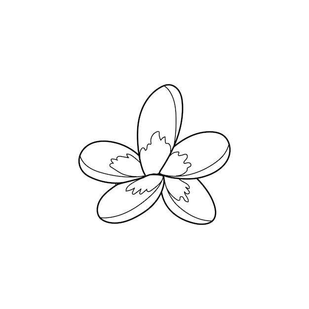 Ilustración lineal vectorial de la flor de Hawai Libro de colorear contra el estrés para niños y adultos