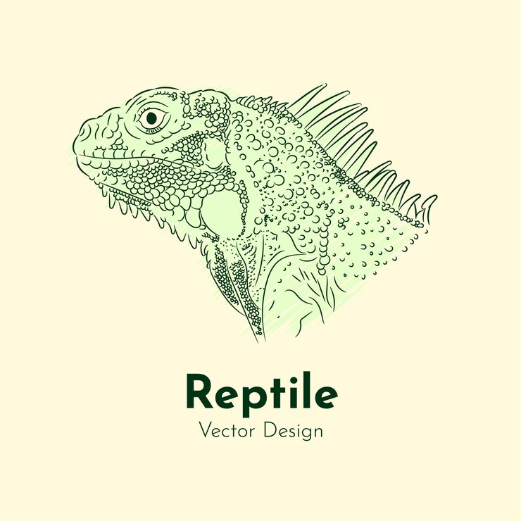 Ilustración en líneas de lagarto con textura detallada