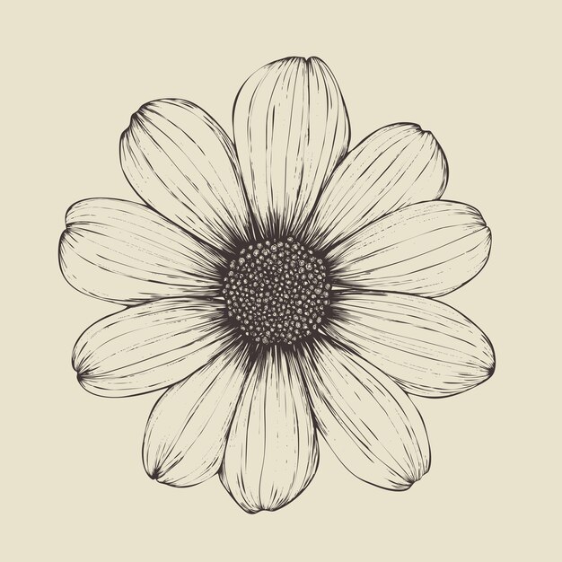 Ilustración de líneas vectoriales de flores sobre un fondo blanco