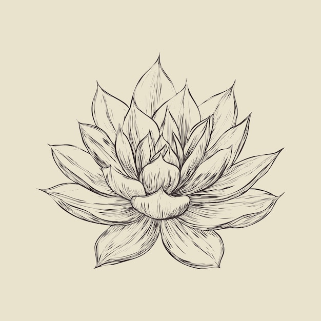 Ilustración de líneas vectoriales de flores sobre un fondo blanco