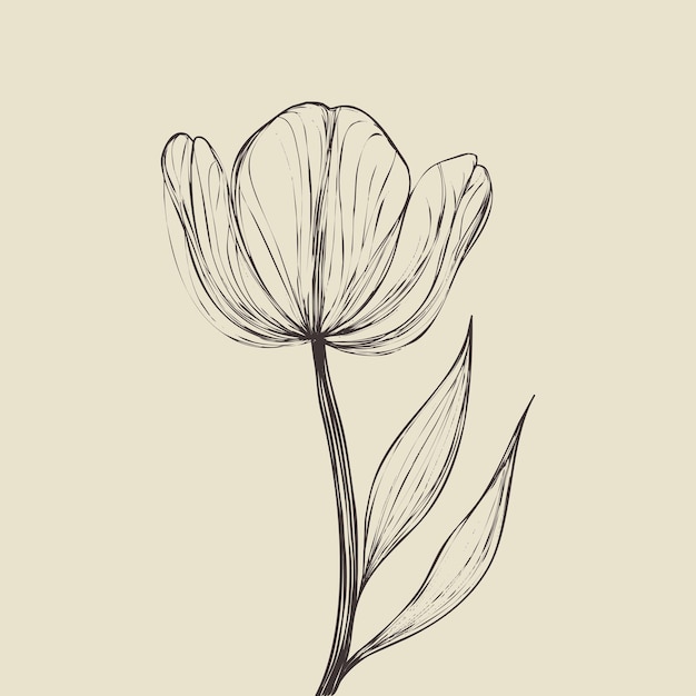 Ilustración de líneas vectoriales de flores sobre un fondo blanco