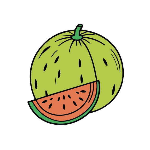 Ilustración llena de color de melón de agua