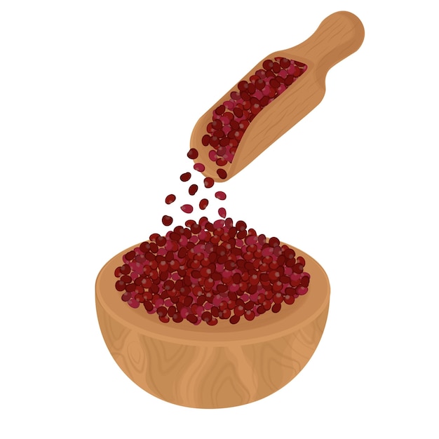 Ilustración del logotipo Clip Art Semillas de sumac en un cuenco de madera