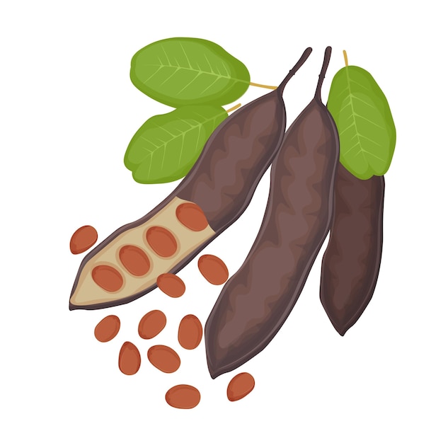 Ilustración del logotipo El clip art de las vainas de algarrobo con semillas