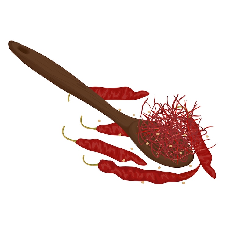 Ilustración del logotipo Clipart hilos de chile secos en una cuchara de madera