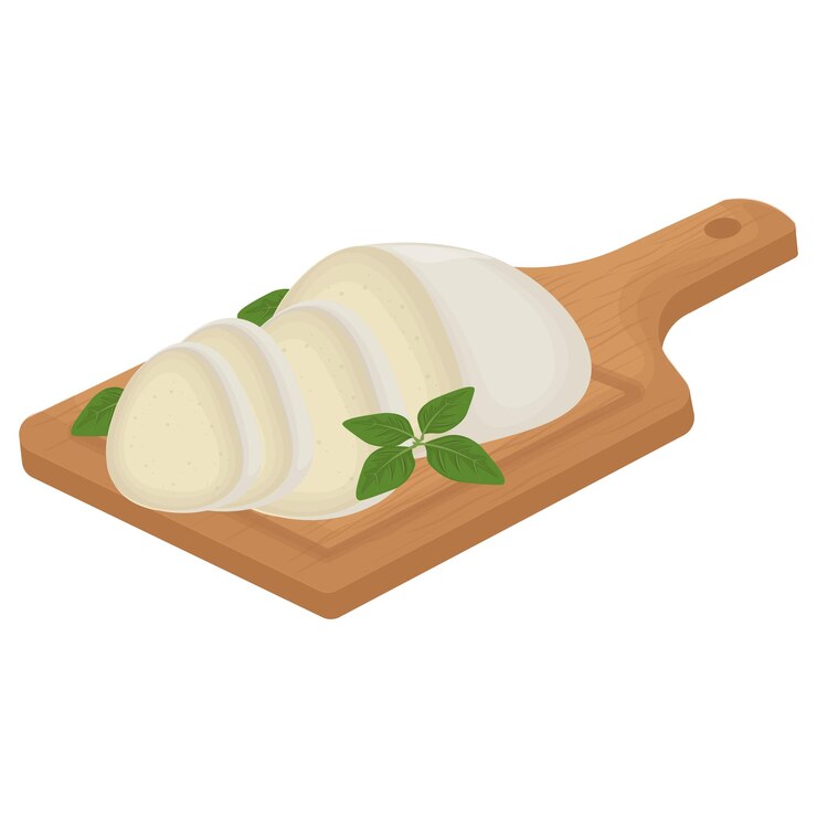 Vector ilustración del logotipo clipart piezas de queso italiano de mozzarella