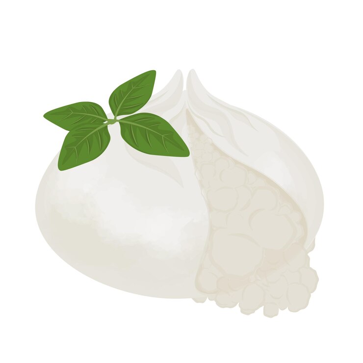 Ilustración del logotipo Clipart Queso Burrata italiano aislado