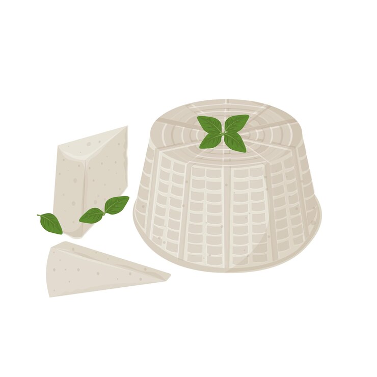 Ilustración del logotipo Clipart Queso italiano ricotta entero y en rodajas