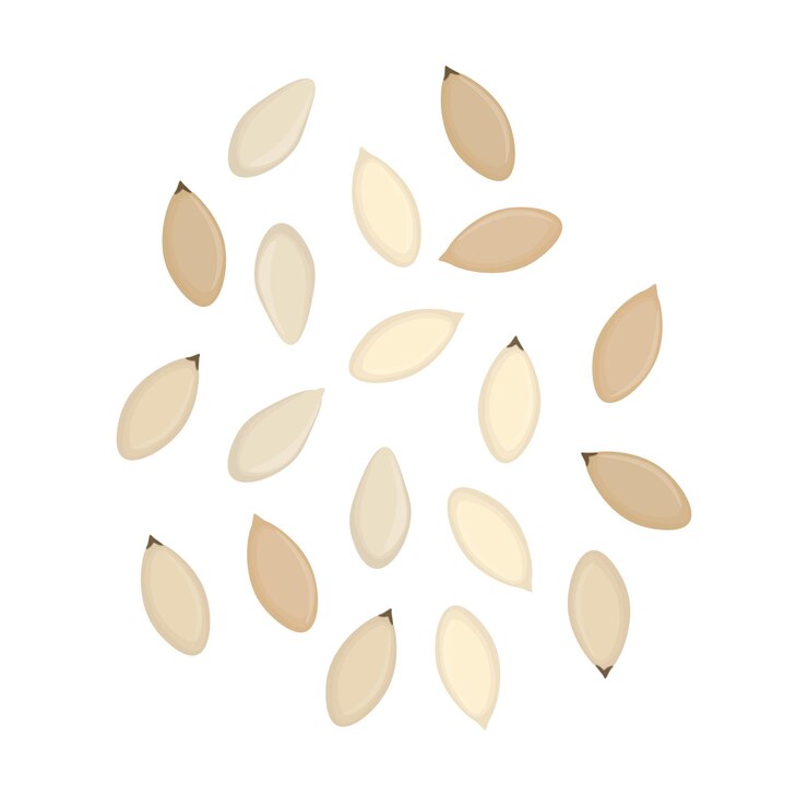 Ilustración del logotipo Clipart Semillas de sésamo blancas aisladas