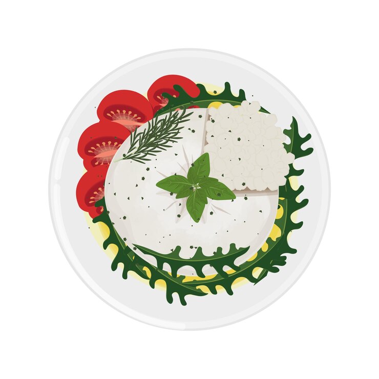Vector ilustración del logotipo clipart vista superior queso burrata italiano con verduras ensalada