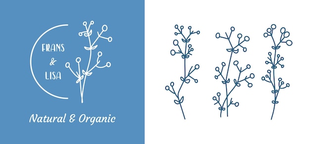 Ilustración y logotipo de las insignias de las ramas botánicas orgánicas, plantilla 02