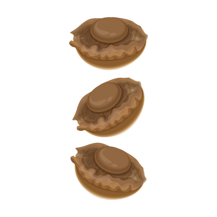 Ilustración del logotipo de la levitación del abalone