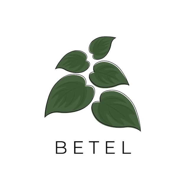 Vector ilustración del logotipo de un manojo de hojas verdes de betel