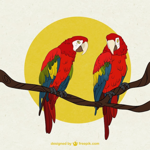 Vector ilustración de loros en una rama