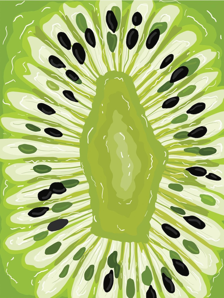 Vector ilustración de macro kiwi