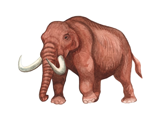 Ilustración de mamut pintado a mano de acuarela