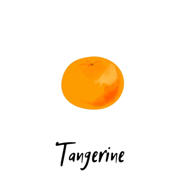 Ilustración una mandarina aislado sobre un fondo blanco.