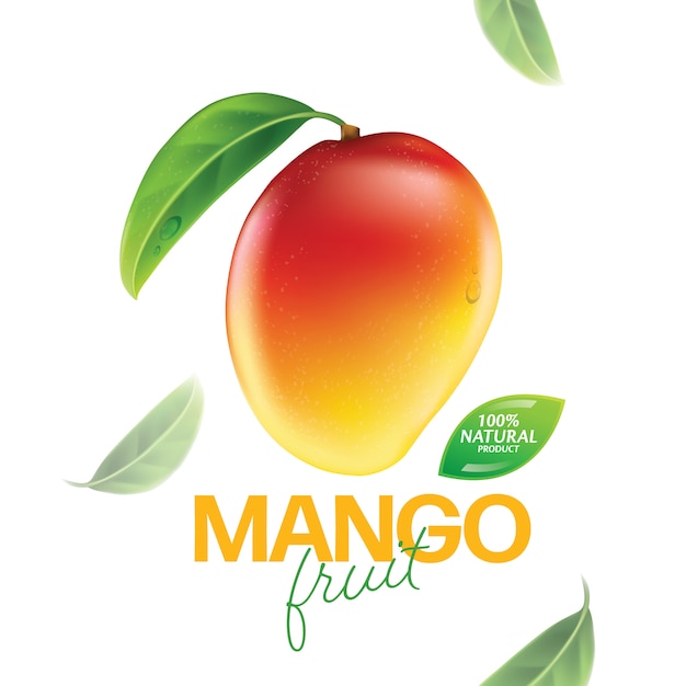 Ilustración de mango fresco con rodajas y hojas