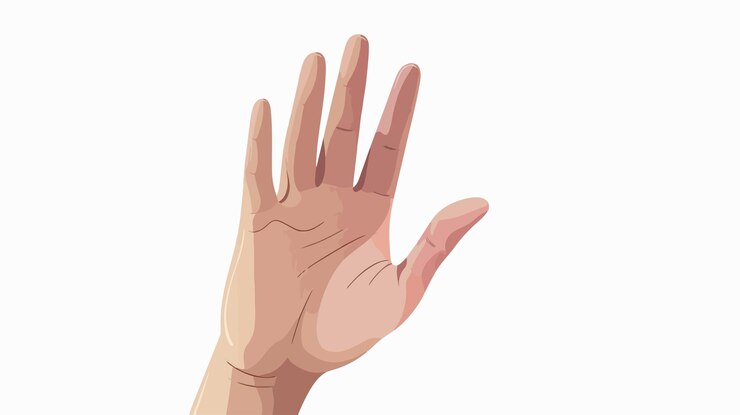 Vector ilustración de la mano vectorial plana en fondo blanco