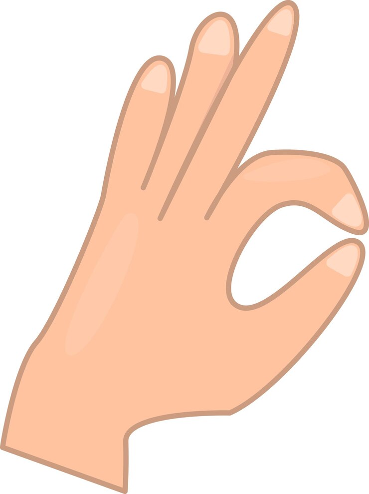 Vector ilustración, de, mano