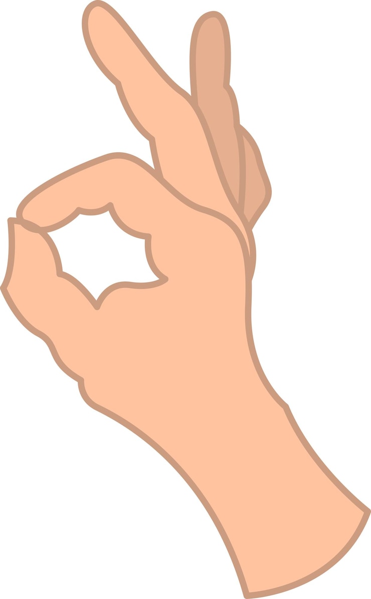 Vector ilustración, de, mano