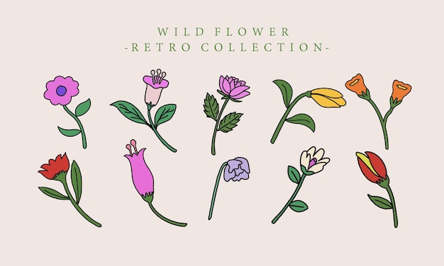 Ilustración maravillosa de flor silvestre retro