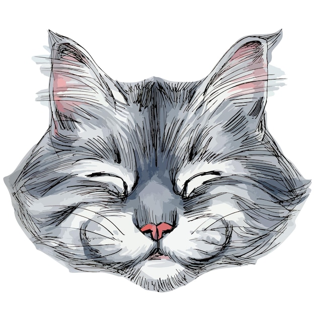 Ilustración de marcador de dibujo vectorial dibujado a mano del retrato de gato gris aislado en blanco