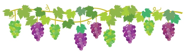 Diseño De Marcos De Madera Con Uvas Ilustraciones svg, vectoriales, clip  art vectorizado libre de derechos. Image 9810107