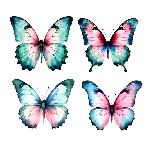 Ilustración de mariposa en acuarela