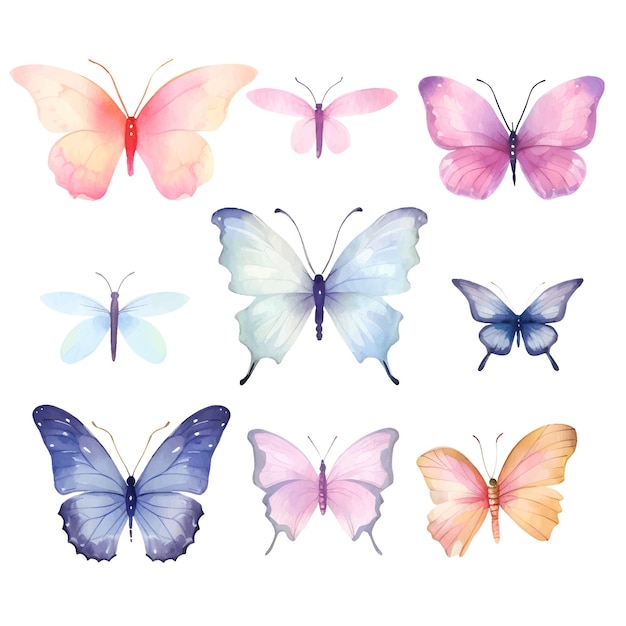 Ilustración de mariposa en acuarela