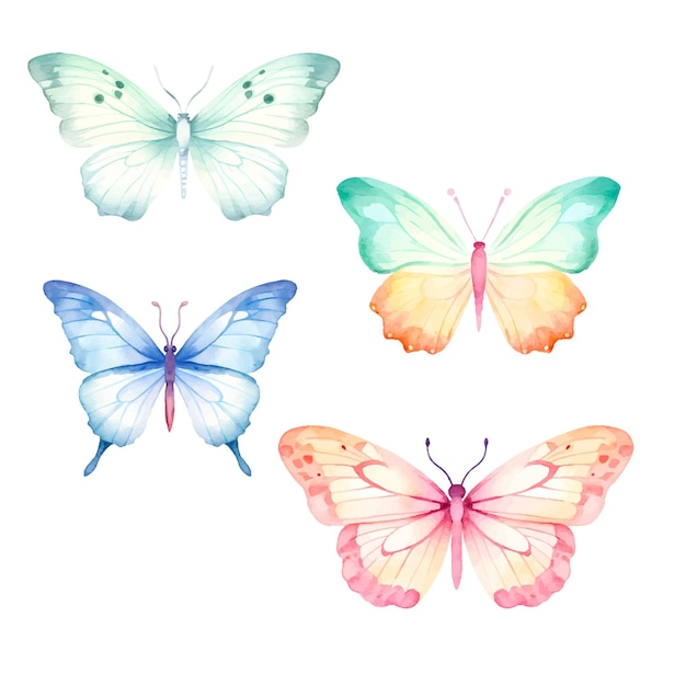 Ilustración de mariposa en acuarela