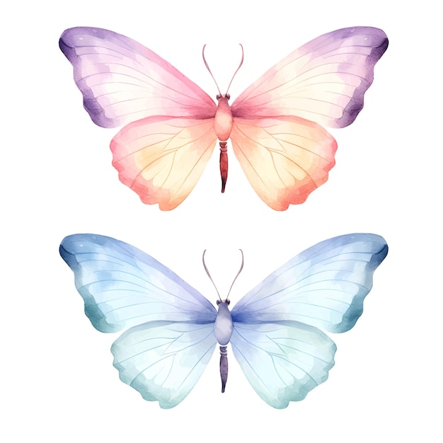 Ilustración de mariposa en acuarela