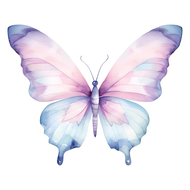 Ilustración de mariposa en acuarela